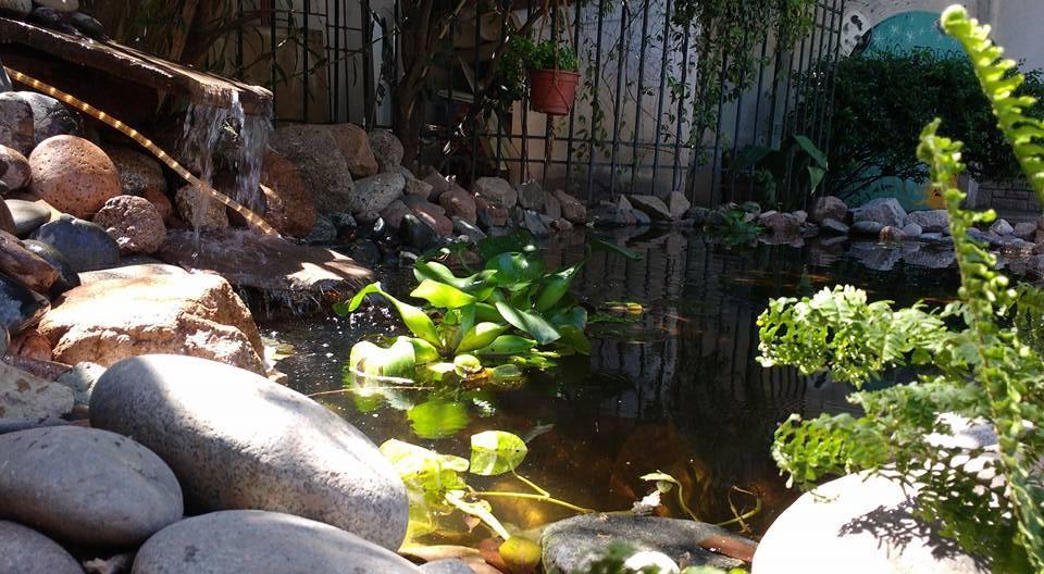 Hostel De Los Artistas ميندوزا المظهر الخارجي الصورة
